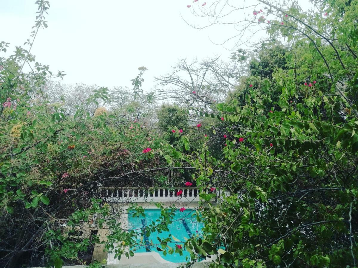 Jardin Etnobotanico Villa Ludovica Санта Марта Екстериор снимка