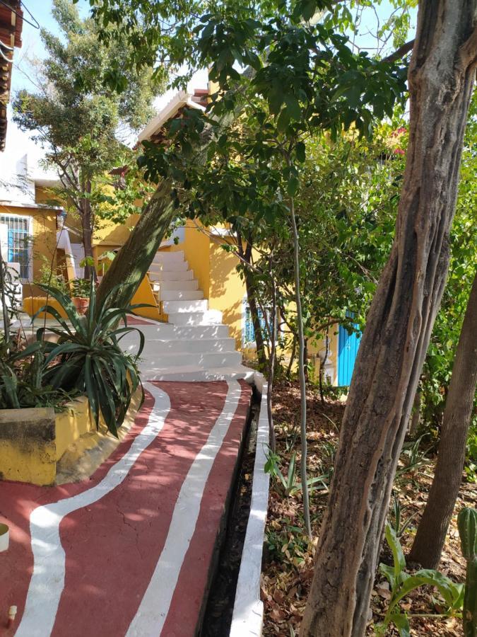 Jardin Etnobotanico Villa Ludovica Санта Марта Екстериор снимка